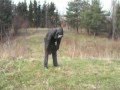Strážci Vesmíru (Power Rangers)