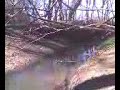juke doesnt jump the creek