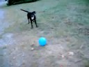 Jumpin' Maisy...