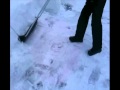 Adam the Roofskotter
