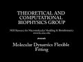 Molecular Dynamics Flexible Fitting