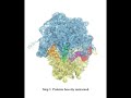 Molecular Dynamics Flexible Fitting