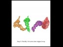Molecular Dynamics Flexible Fitting