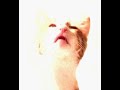 Kitty Lick Kitty Lick