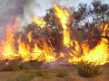 Tribute To Wildland Firefighters