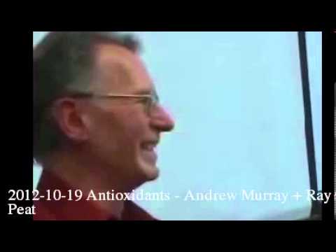 2012-10-19 Antioxidants - Andrew Murray + Ray Peat