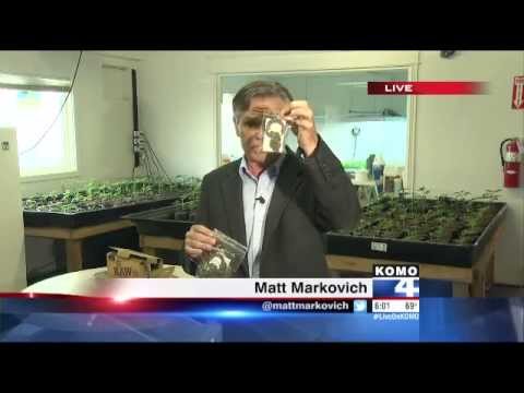 how to treat wash sales on schedule d