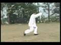 Chang San Feng taichi 108 form