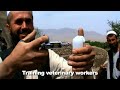 Afghanaid