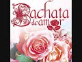 EL GRINGO DE LA BACHATA - PASION POR UNA AMIGA.wmv
