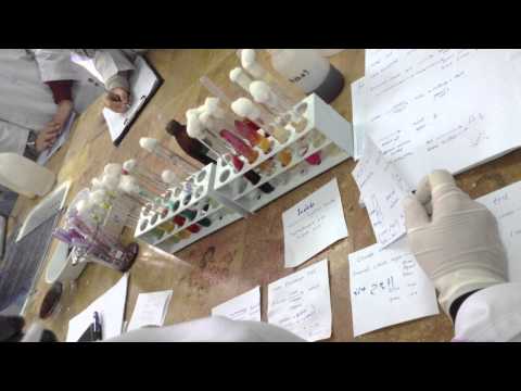 how to do mr vp test