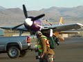 Rare Bear Reno 2008