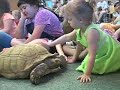 Reptilian Wonders