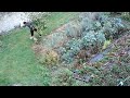 CLIP0053