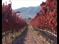 Video Corporativo Bodegas Francisco Gómez