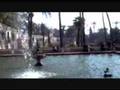 The Beauty and Romance of Sevilla Spain