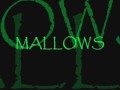 19_shey_lows_19