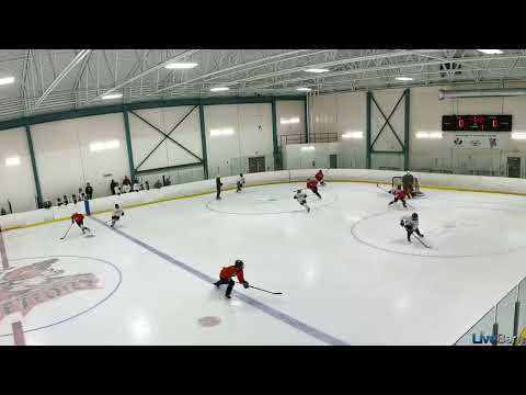 2024-06-02 GOJHL Meteors Goal, Faceoff Win, Dzone Breakout, Net Drive Option, Backhand Spin Alt View