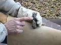 How to Make Flaked Stone Tools Knapping #3