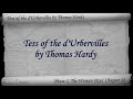 Part 6 - Tess of the d'Urbervilles by Thomas Hardy (Chs 38-44)