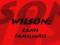 Wilson: Canis Familiaris