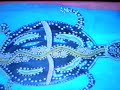 Amaroo 2003 Painting by Marisa H Angelis