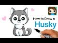 The Best 27 Kawaii Chibi Husky Drawing