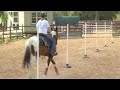 Equestrian Speed Event Training : Equestrian Speed Training: Pole Bending