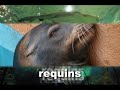 marineland