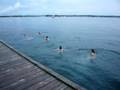 St Lawrence River Swimming 2