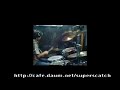 [Drum]