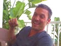 brian austin green talks to tele-buddy terry morrow about the tennessee side of his girlfriend, megan fox. video by terry morrow/news sentinel. edited by chloe white/knoxnews.com.