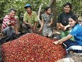 Escocia Coffee Farm in El Salvador