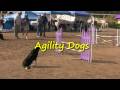 title="Agility
