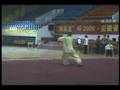 形意八卦棍 Bagua Staff (Xingyibaguazhang Style)