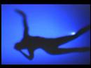 Evolution of Dance