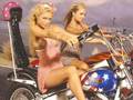 Paris Hilton Sensitive