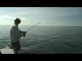 Pine Island Fishing Albacore Fishing with Reel Adventure Charters