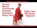 Taekwondo,karate,wushu,muay thai,aikido