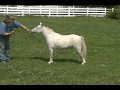 Iona Farm's Secret Rendezvous