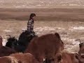 unicef helps keep mongolian herder children in school