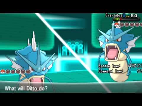 how to online battle pokemon
