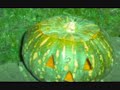 HALLOWEEN-not so SCARY MOVIE HALLOWEEN-not so SCARY MOVIE