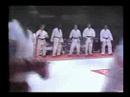 1986 bluegrass