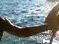 Summer @ 2006