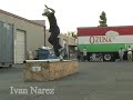 Eulogy Premiere, shared by Rollernews.com Eulogy Premiere, shared by Rollernews.com