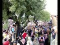 ziko87  7-massira2009