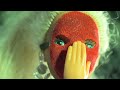Tim Fite - Hold me all night Weird anima...