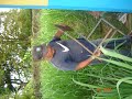 recuperacion de pupitres sillas y mesas mision ribas