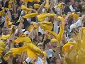 Terrible Towel Wave